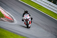 PJ-Motorsport-2019;anglesey;brands-hatch;cadwell-park;croft;donington-park;enduro-digital-images;event-digital-images;eventdigitalimages;mallory;no-limits;oulton-park;peter-wileman-photography;racing-digital-images;silverstone;snetterton;trackday-digital-images;trackday-photos;vmcc-banbury-run;welsh-2-day-enduro